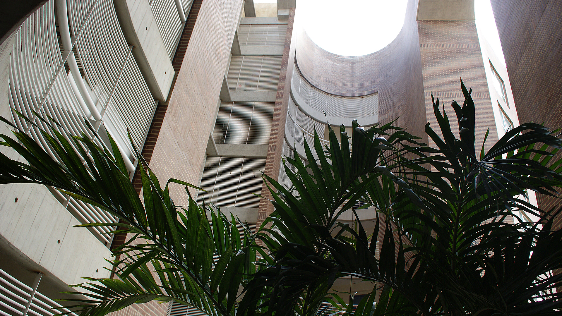 SONY DSC